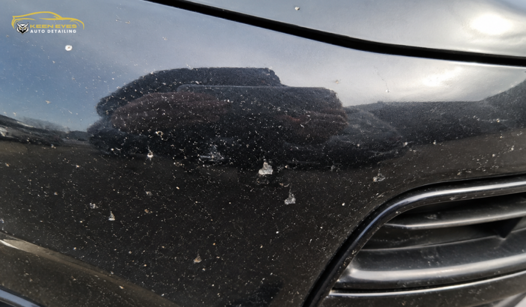 How Rock Chips Destroy Your Car Paint & How to Prevent Damage